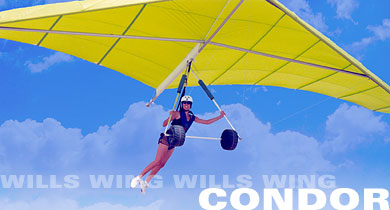 Condor_1