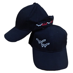 70H-1103_HatWWandWillsWing_250_250