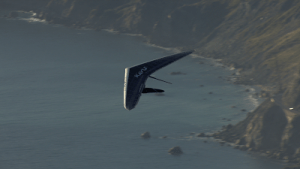 Big Sur (1)